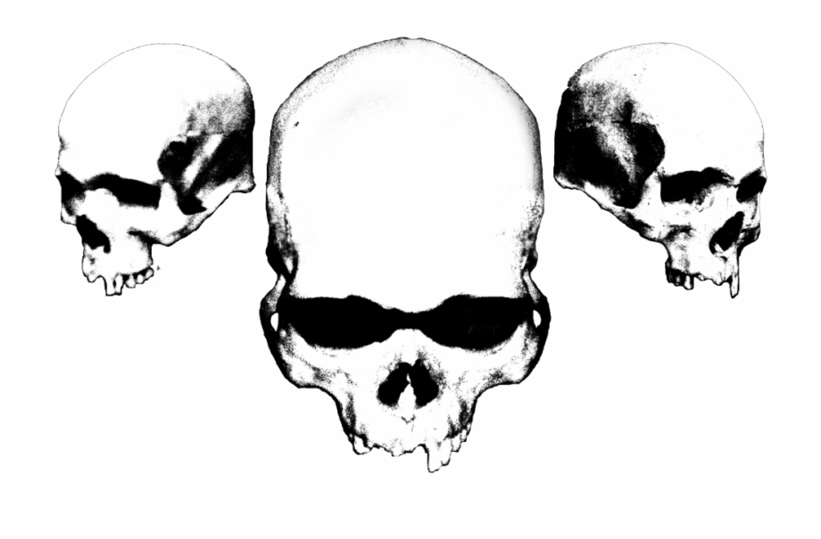 black and white skulls
