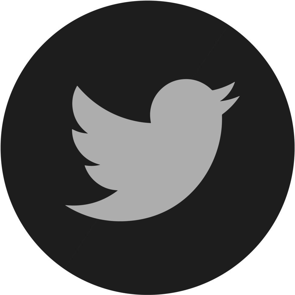 Twitter Twitter Logo Button Png