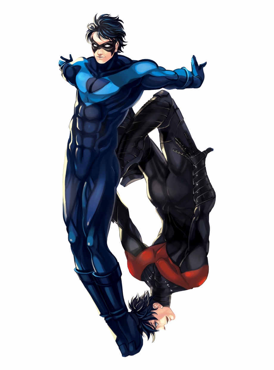 Two Nightwings By Operapink Batman Robin Robin Dc