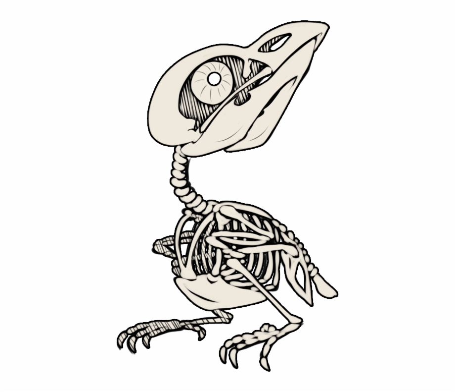 Birdskull Present Cartoon