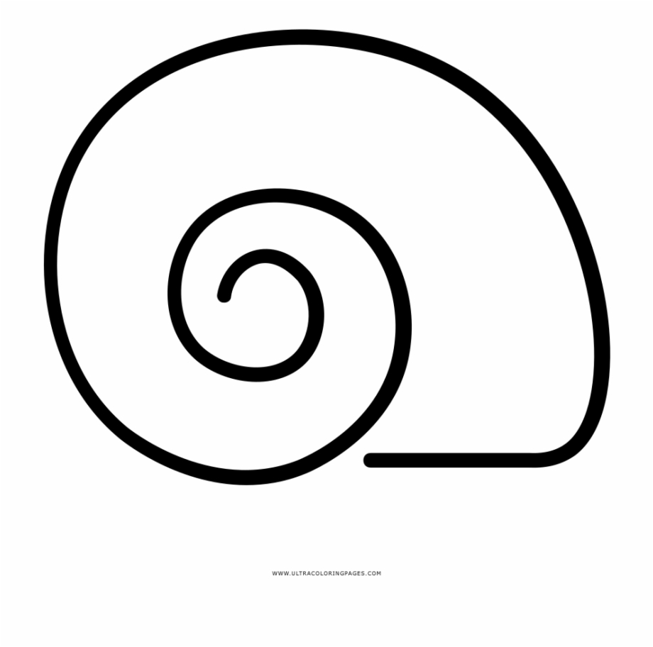 Snail Shell Coloring Page Circle