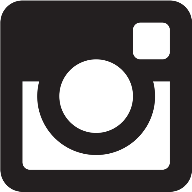 Instagram Glyph Vector Logo Email Instagram
