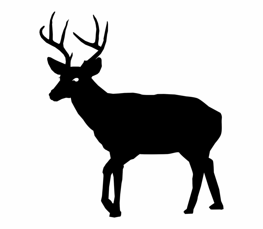 Buck Clipart Real Deer Deer Silhouette Transparent Background