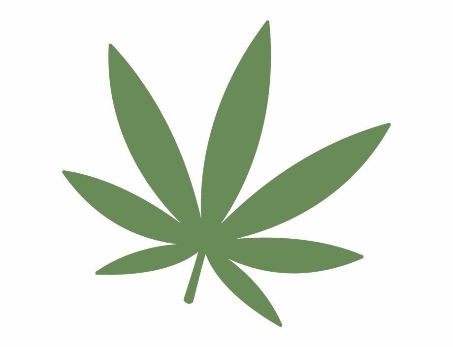 Bigstock Marijuana Leaf Icon On White 80729741 August