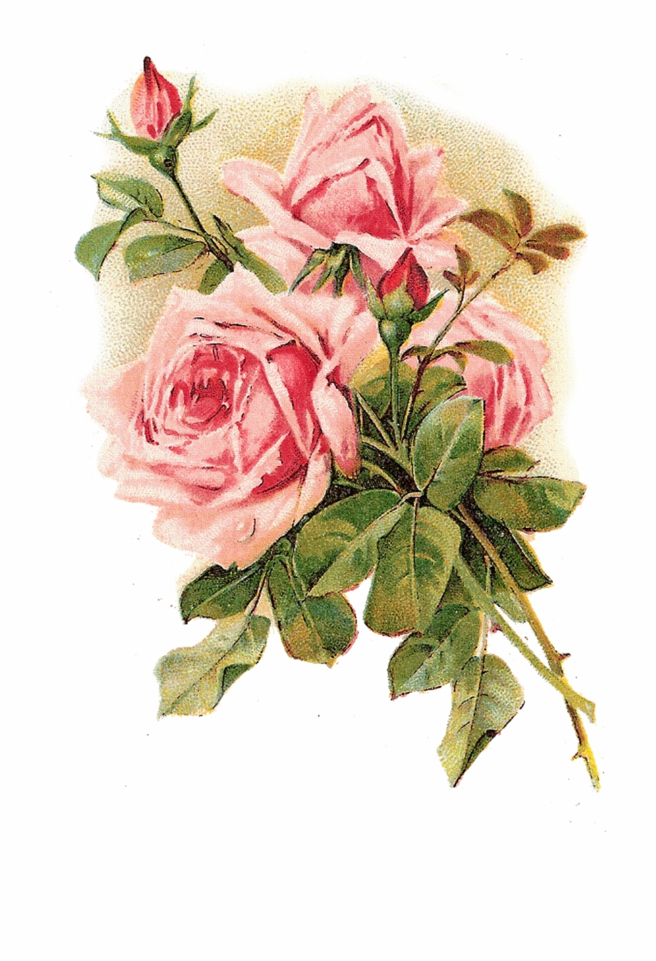 Rose Vintage Clothing Flower Pink Shabby Chic Vintage