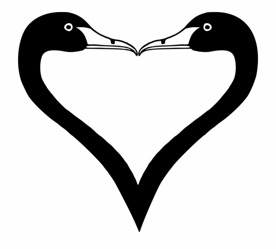 Duck Goose Waterfowl Heart Drawing Swan
