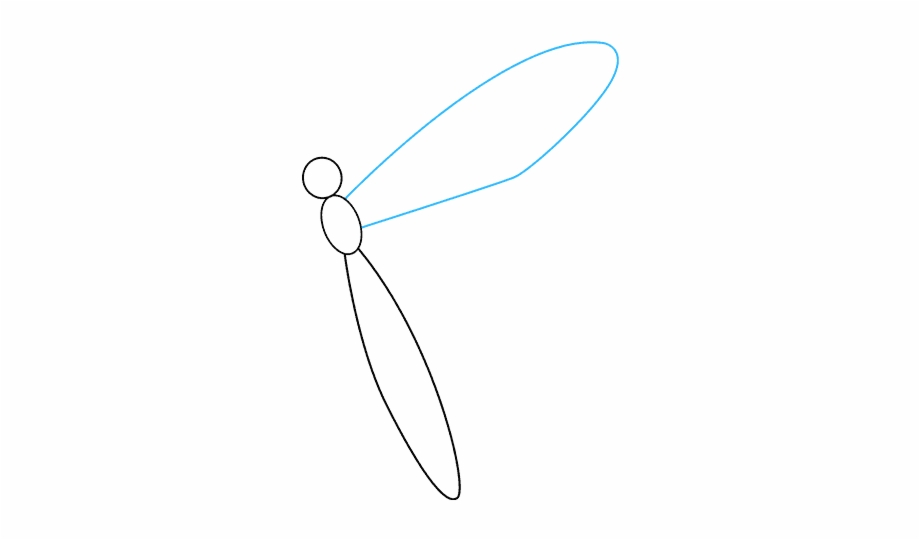 How To Draw Dragonfly Net Winged Insects