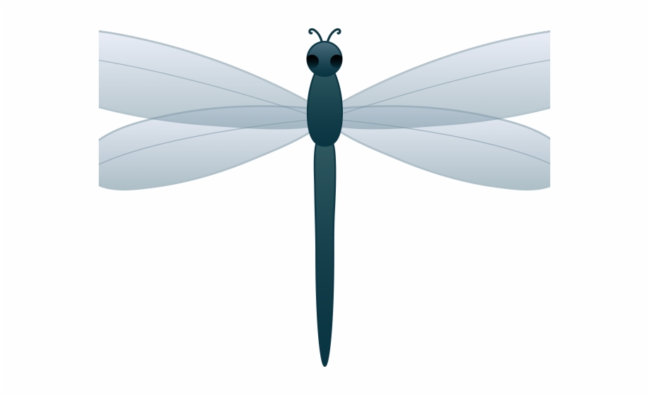 Dragonfly Clipart Transparent Background Dragonfly