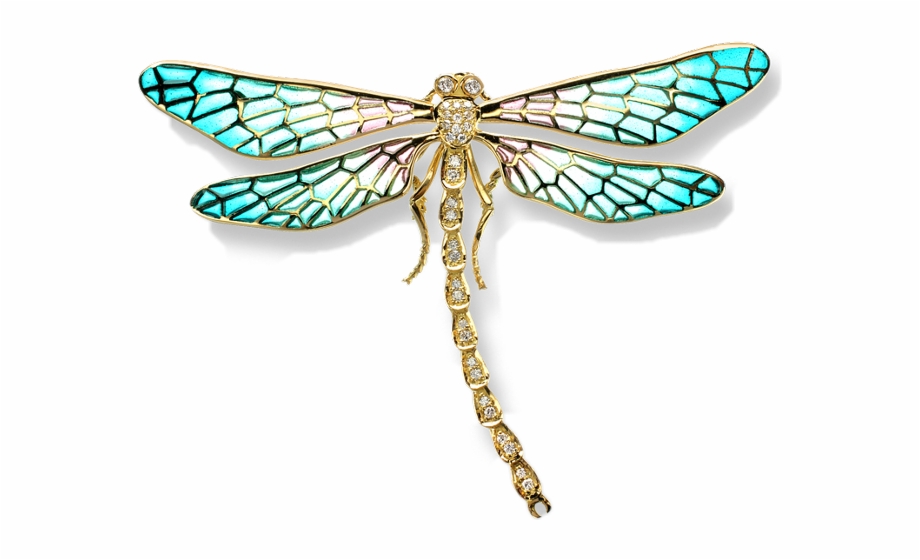 nicole barr dragonfly necklace
