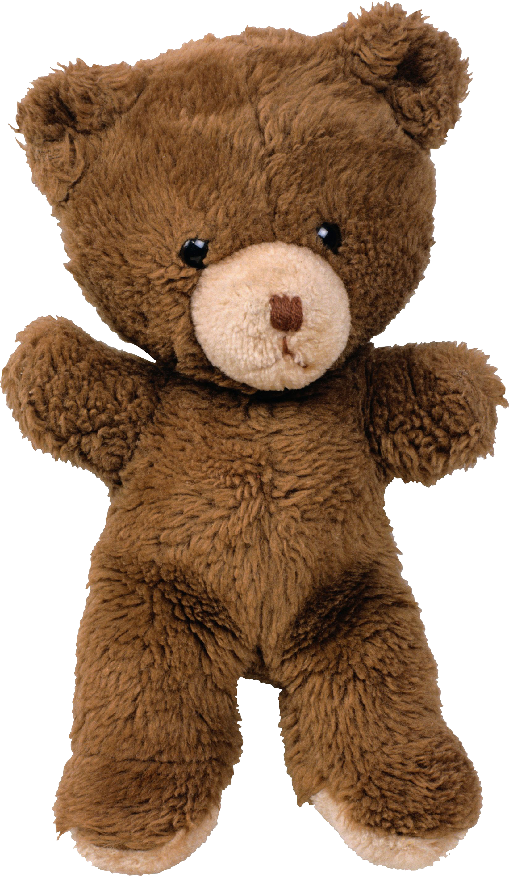 Teddy bear PNG transparent image download, size: 1922x2234px