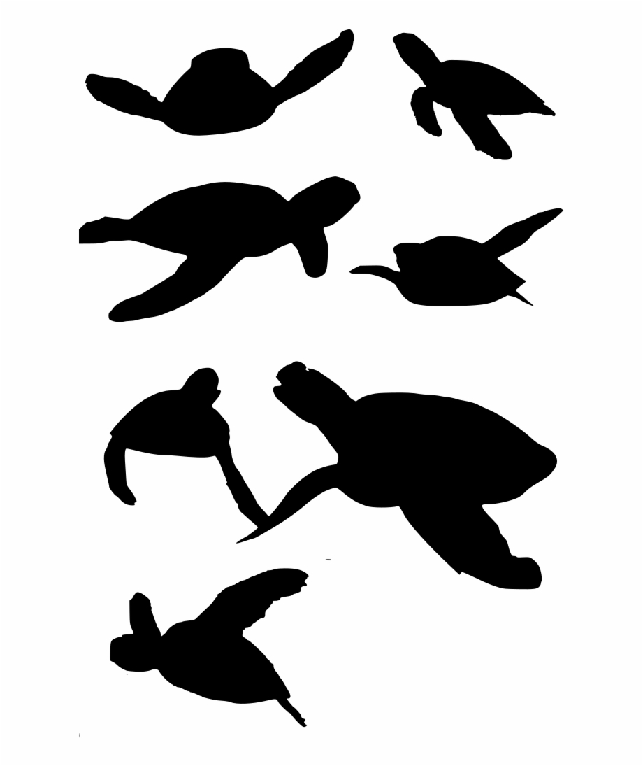 Download Png Turtle