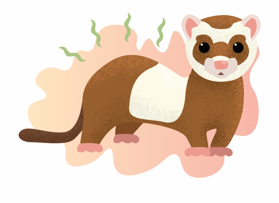 Illustration Of A Smelly Ferret Weasel