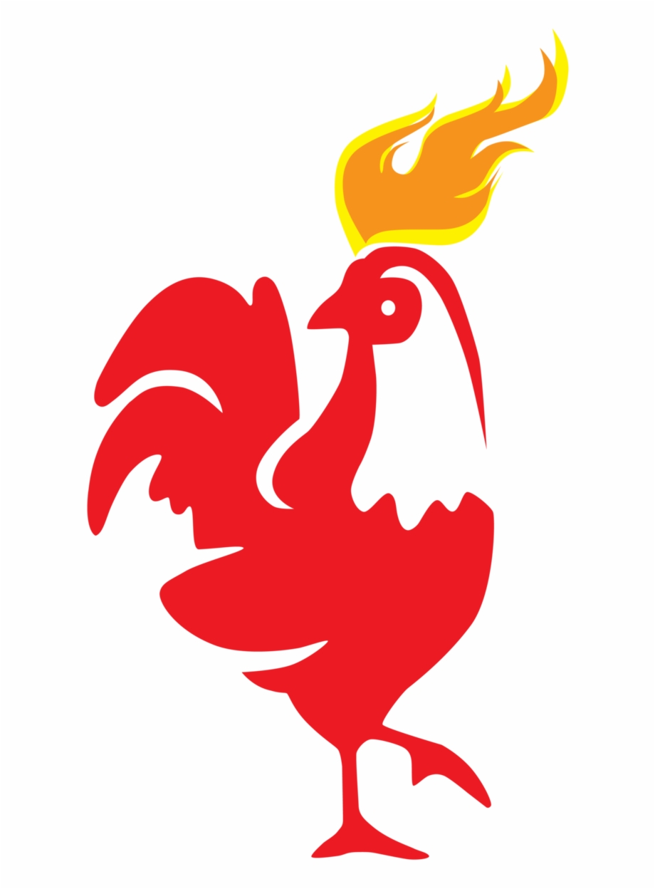 Ayam Api By Ayam Vector