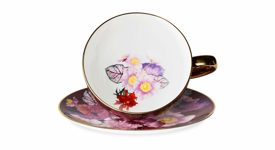 Png Transparent T Adriana Picker Collectable Tea Cup