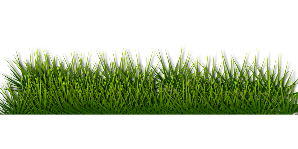 Free Grass Border Png Download Free Grass Border Png Png Images Free ...