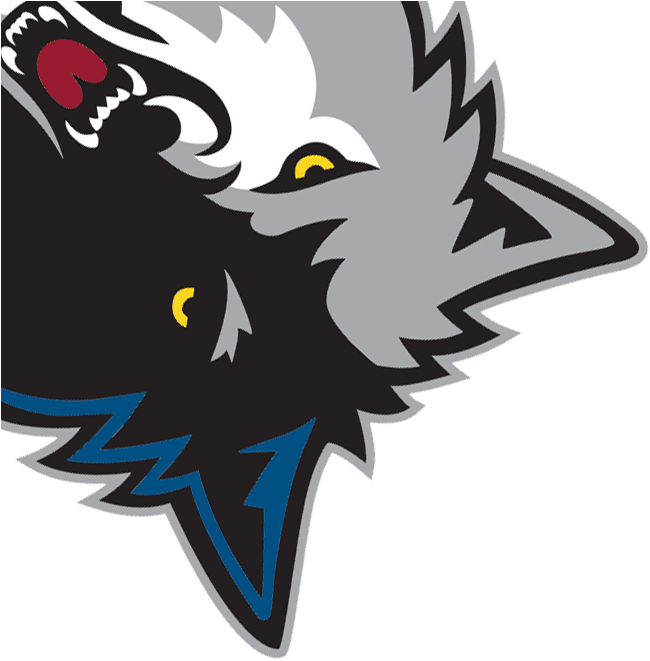 Post Minnesota Timberwolves