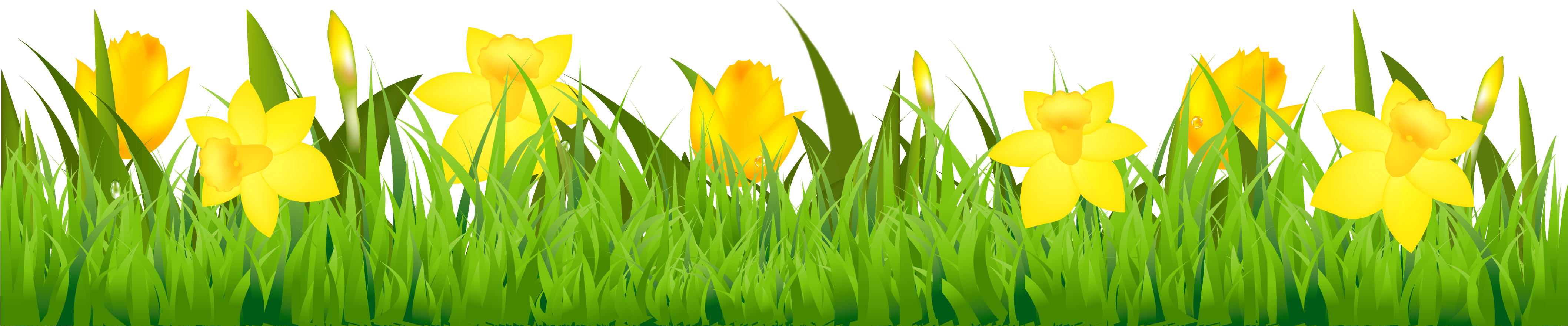 Tulip And Daffodil Border Clip Art