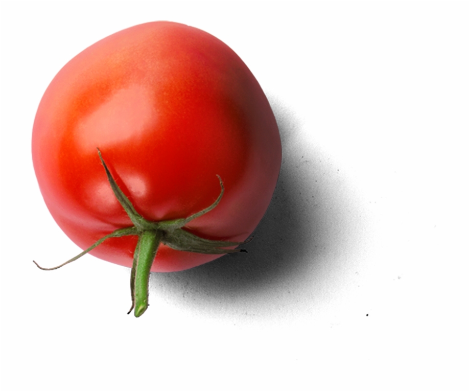 Tomate Plum Tomato