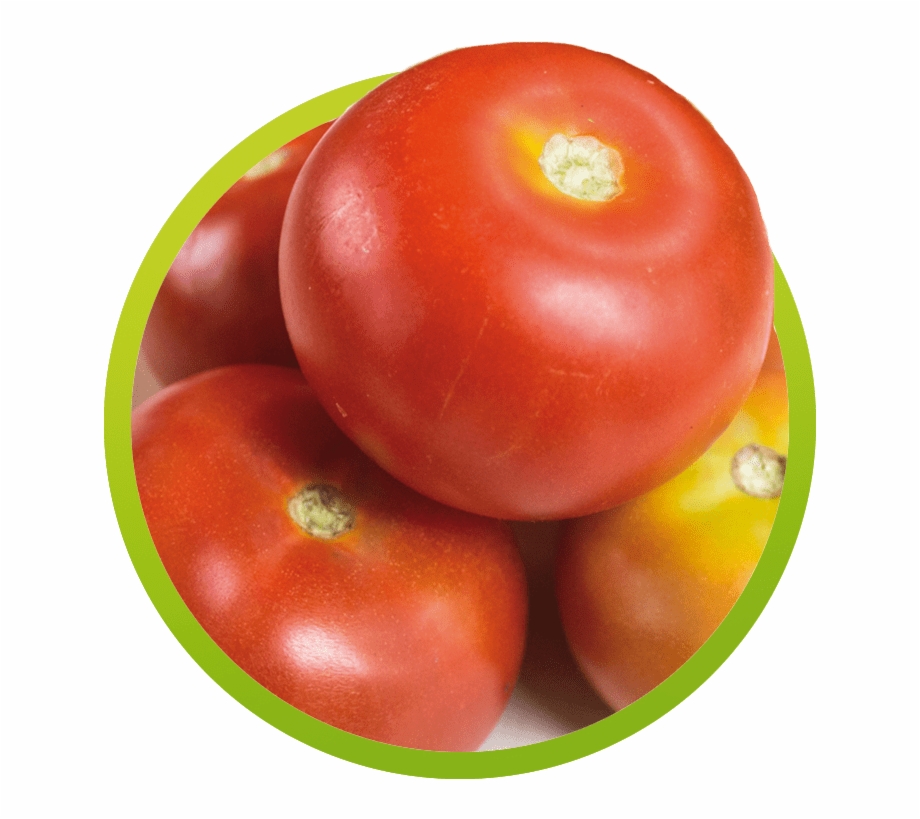 Tomate Plum Tomato