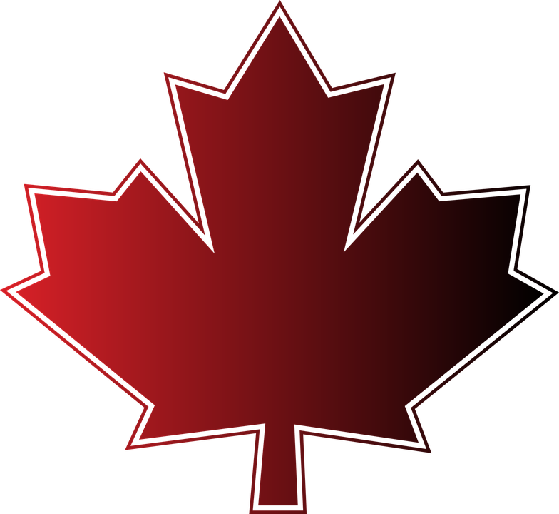 Maple Leaf Maple Canada Canada Day Canada Leaf