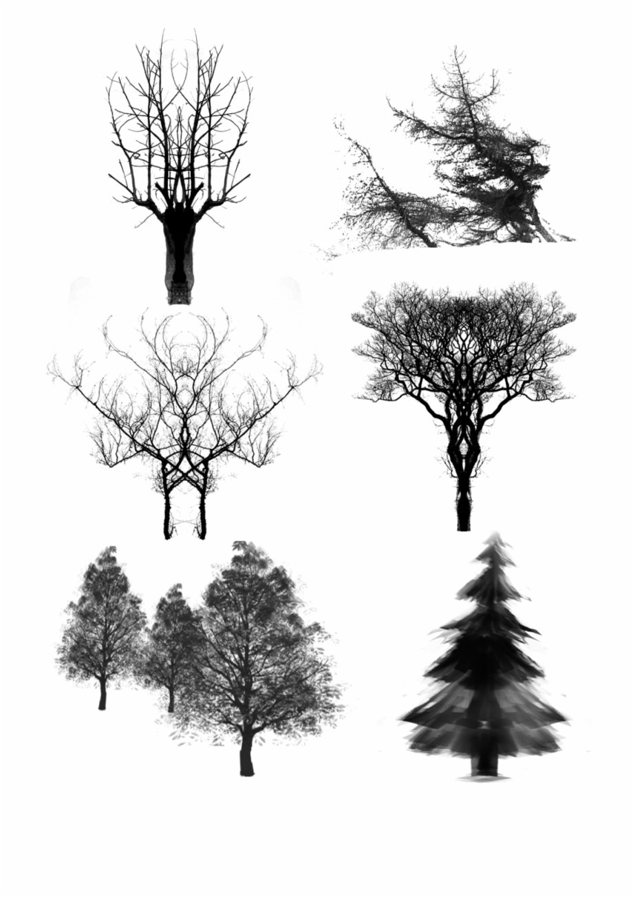 Trees Ink Dead Wood Png And Psd Christmas