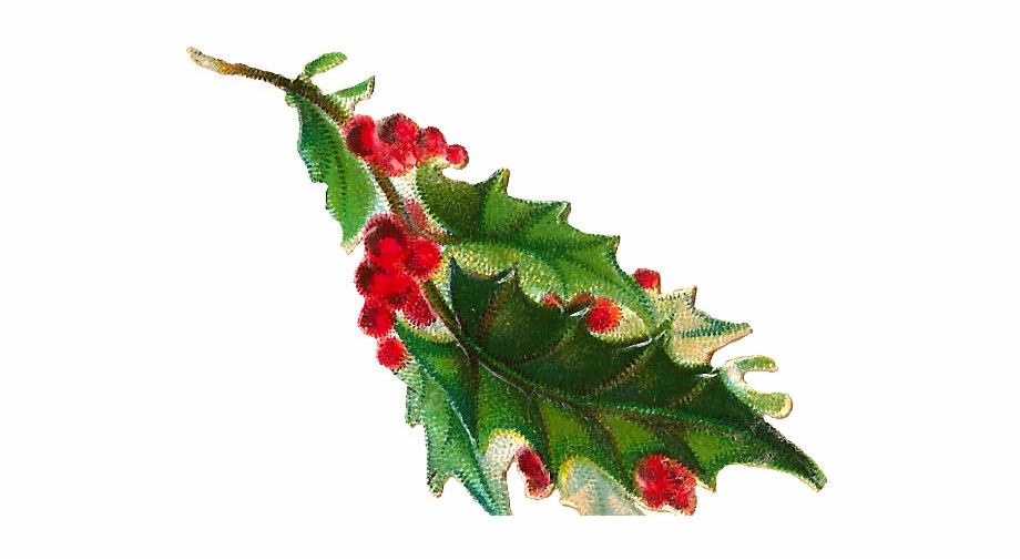 Free Christmas Clip Art Clip Art Holly Branches