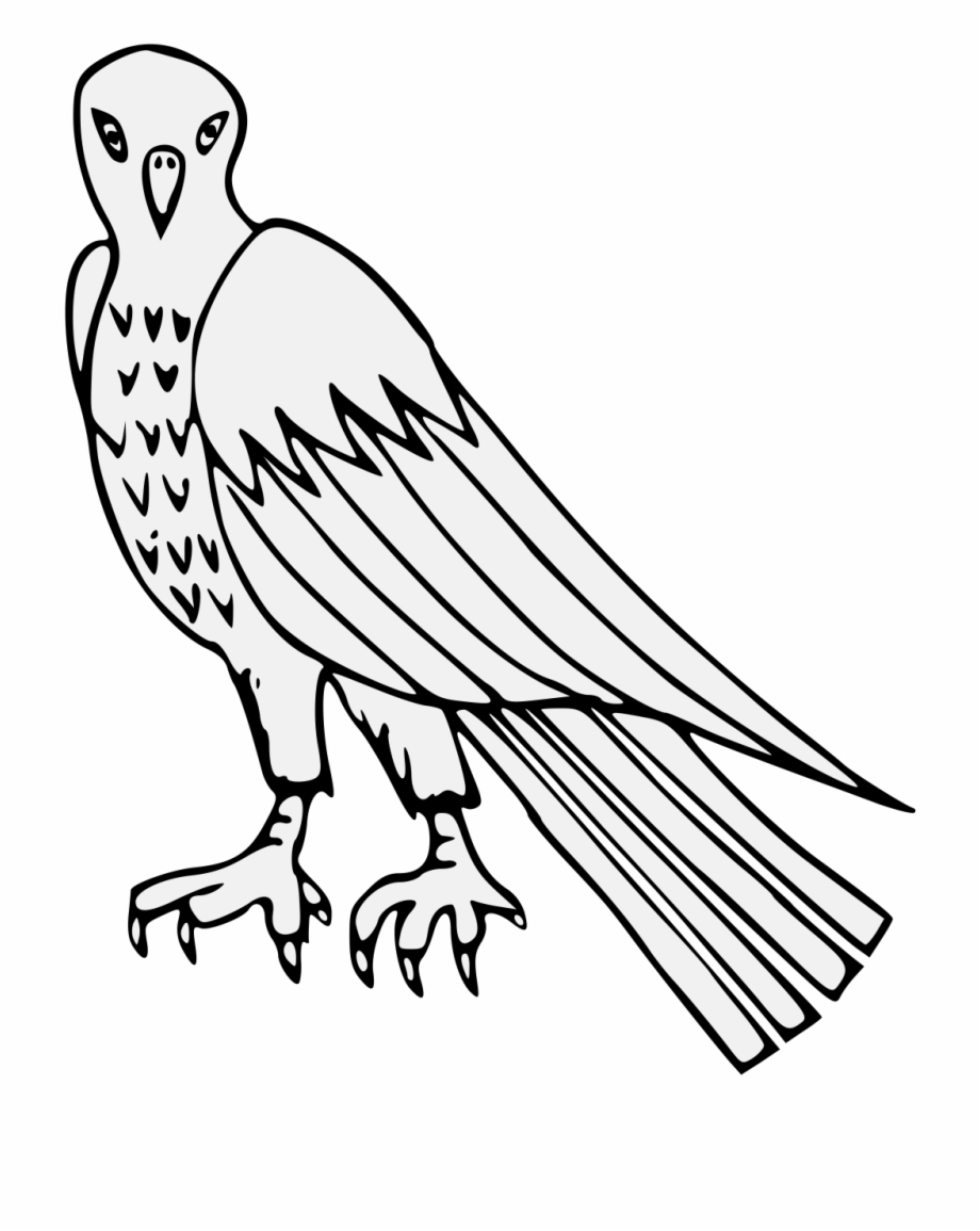 Vulture Png Download Osprey