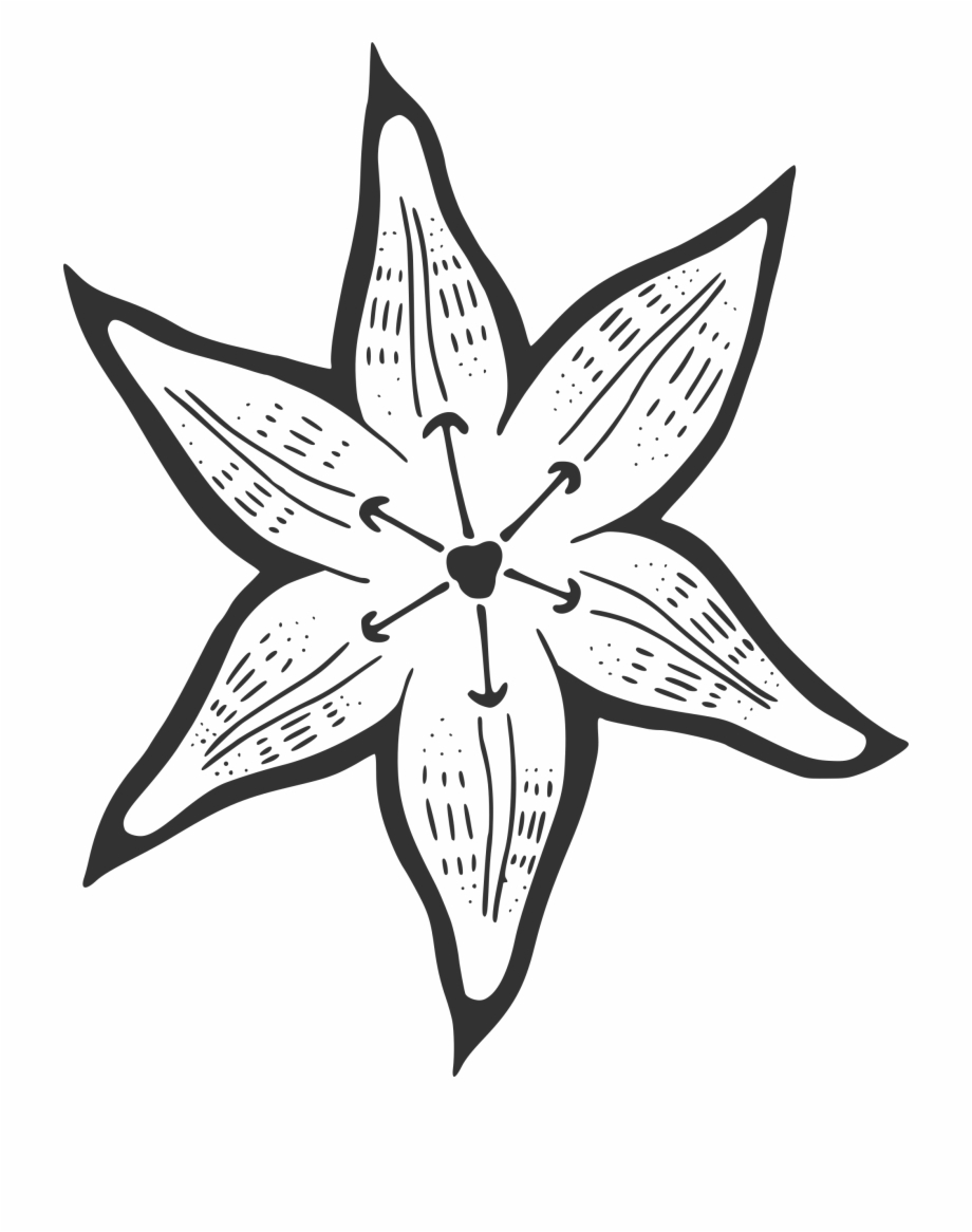 This Free Icons Png Design Of A Lily