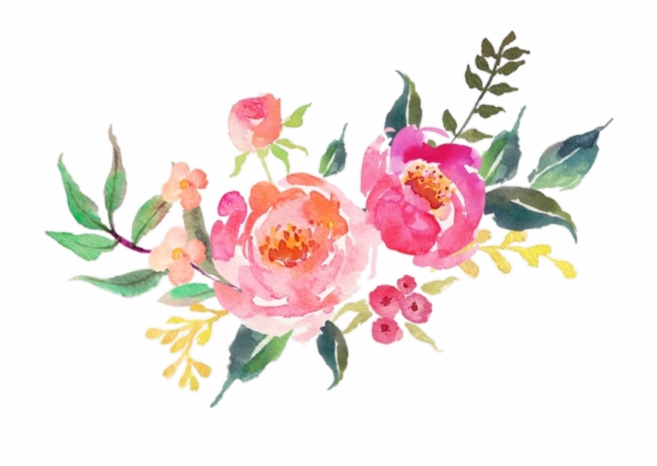 Flower Pink Flowers Watercolor Nature Watercolor Transparent Background