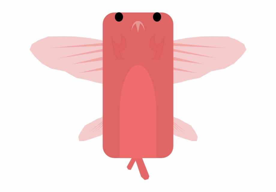 Animalcrab Flying Fish Illustration