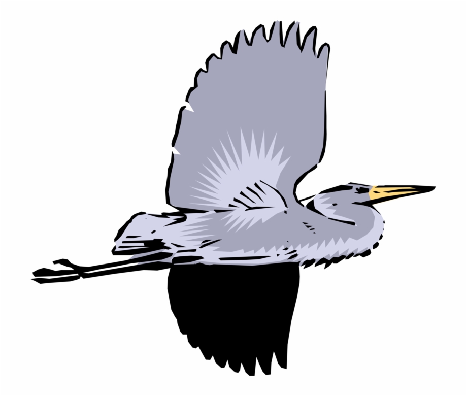 Vector Illustration Of Great Blue Heron Crane Bird
