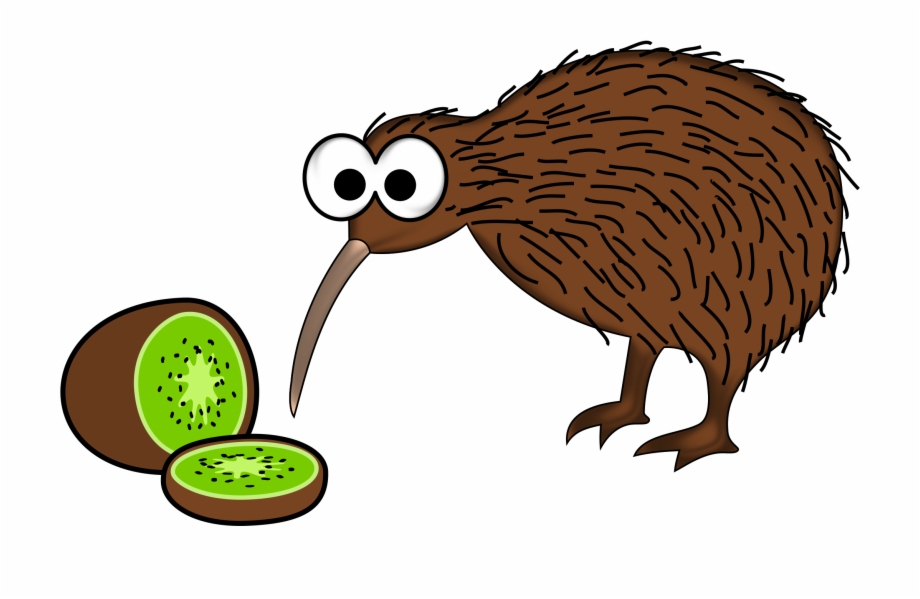 Kiwi Bird Kiwi New Zealand Clipart