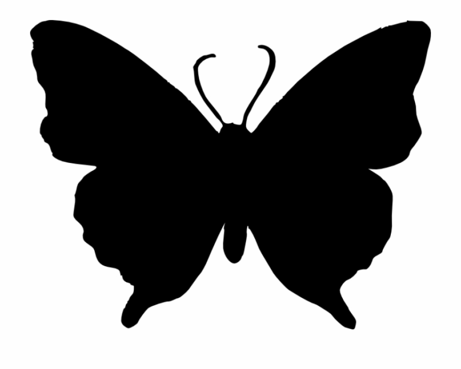 Butterfly Silhouette Png Black And White Butterfly Transparent