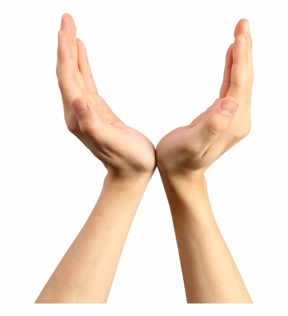 Free Hand Transparent Png Download Free Hand Transparent Png Png Free Hand Transparent Png Download Free Hand Transparent Png Png