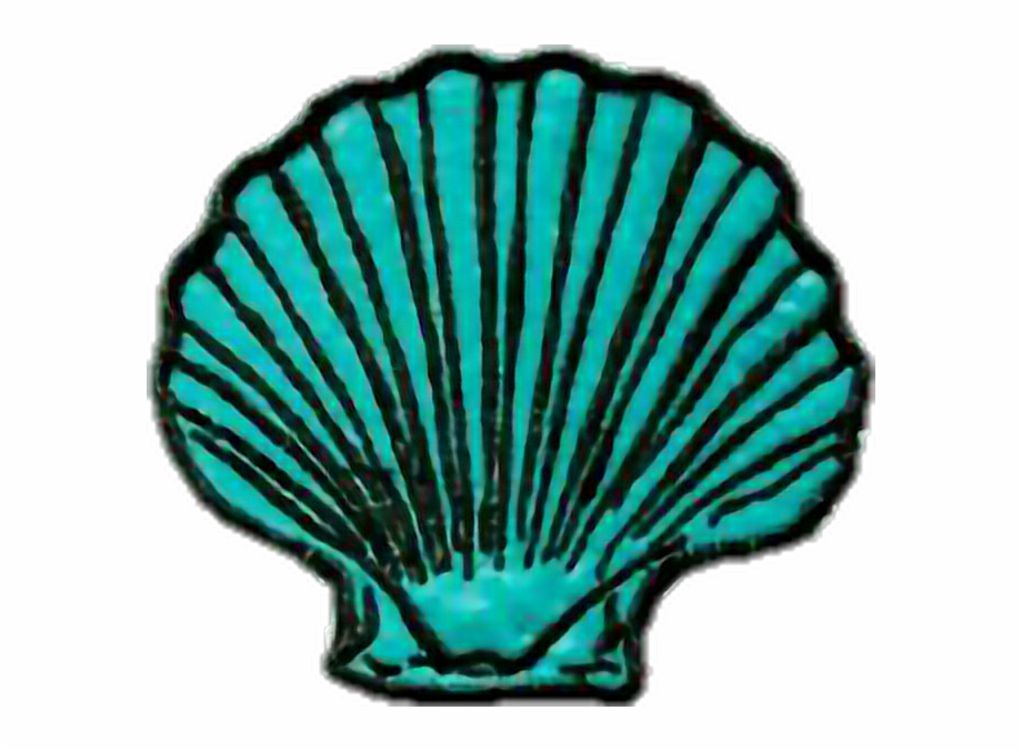 Tumblr Mermaid Marine Shell
