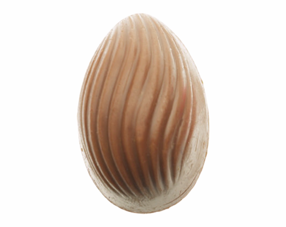 Download High Resolution Png Baltic Clam