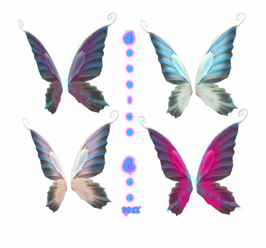 Realistic Fairy Wings Png Fairy Wing Vector Png