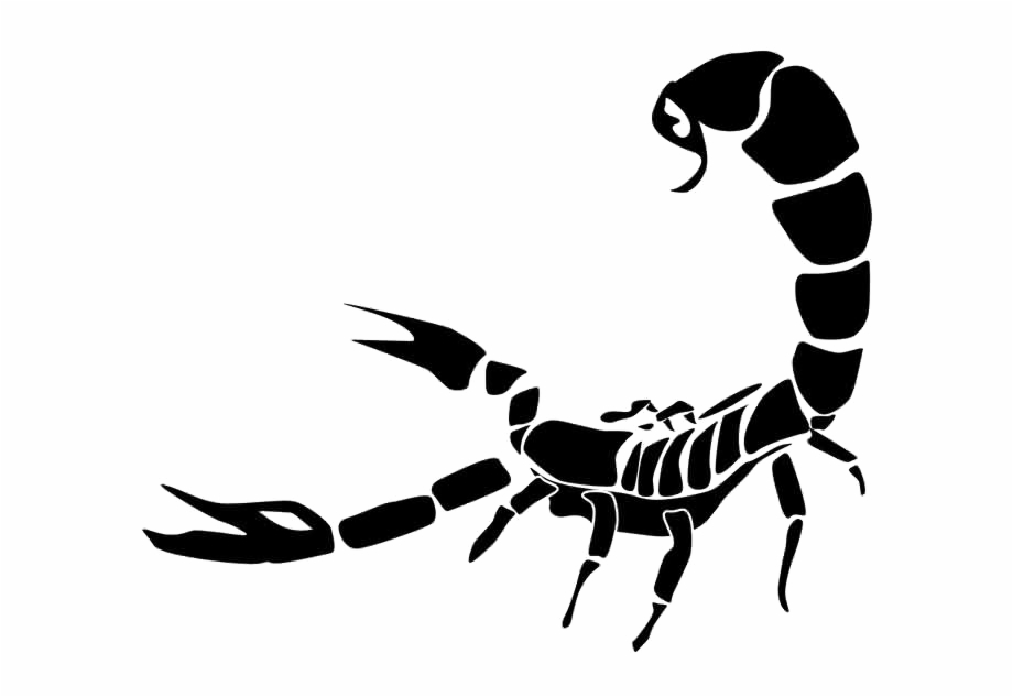Scorpio Tattoo Png Photo Transparent Background Scorpion Png