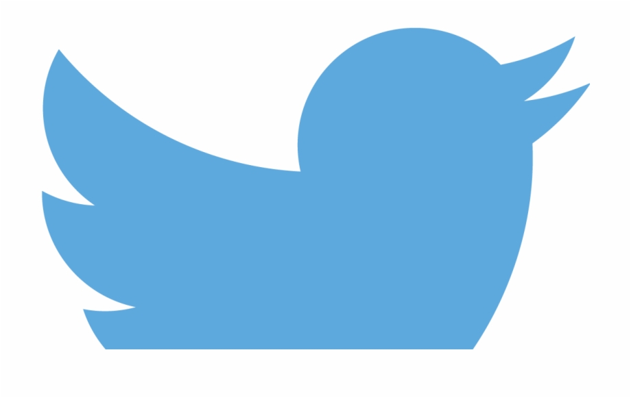 Transparent Background Twitter Logo Small