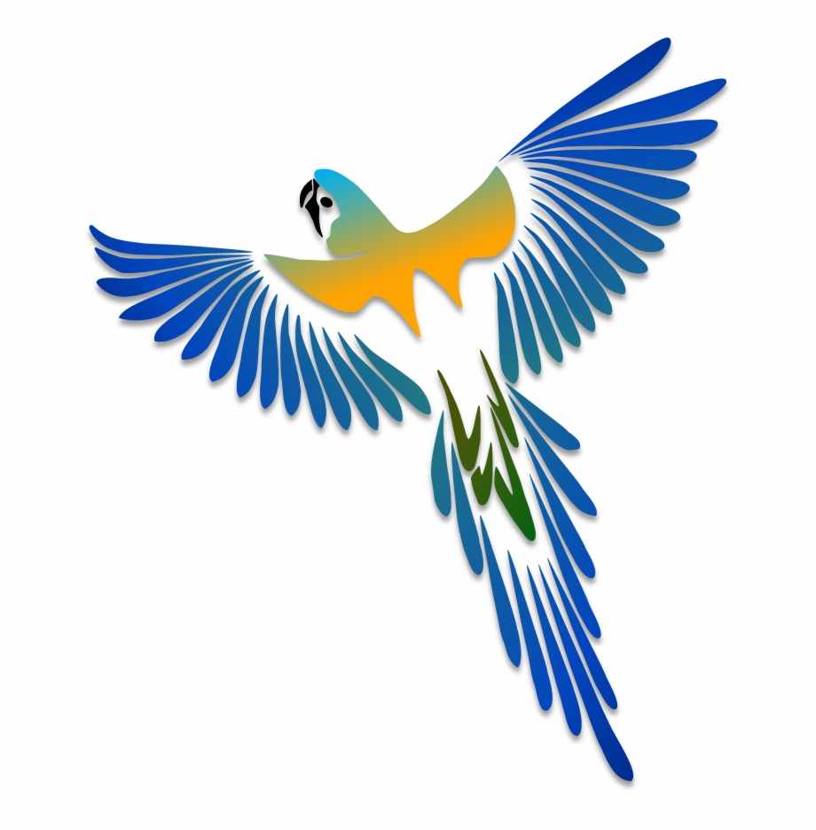 Birds Illustrations Art Islamic Graphics Adornos Pinterest Macaw