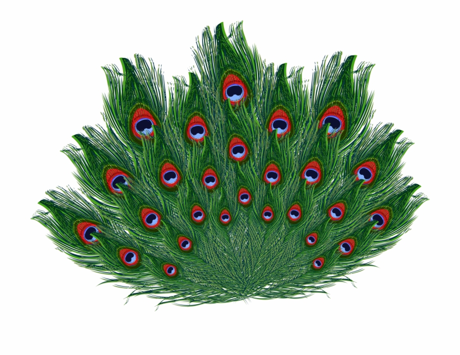 Krishna Images Emoticon Peacock Feathers Krishna Galliformes