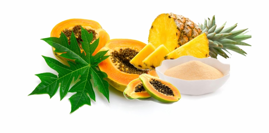 Natural Enzymes Manufacturers Medicinal Plants Papaya