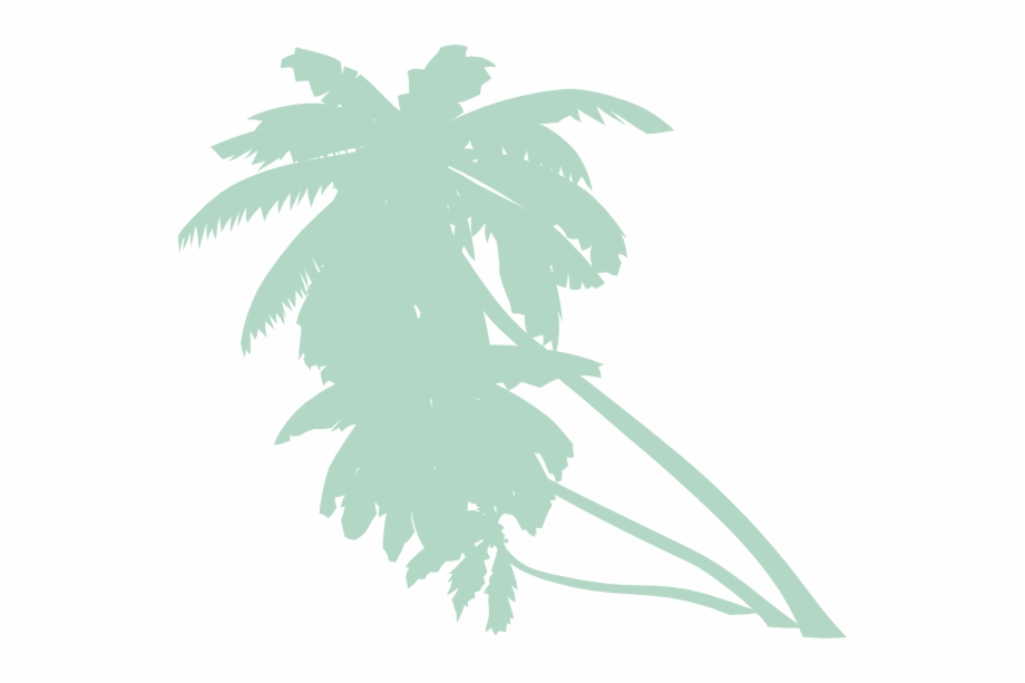 Animated Palm Tree Png Png Download Transparent Palm