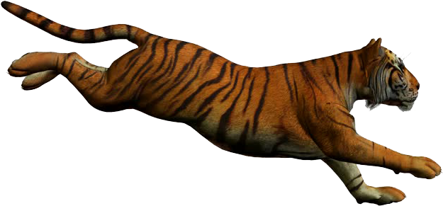Tiger Png Free Download Tiger Jumping White Background