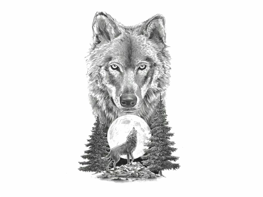 Gray Sketch Art Tattoo Artist Motion Wolf Wolf