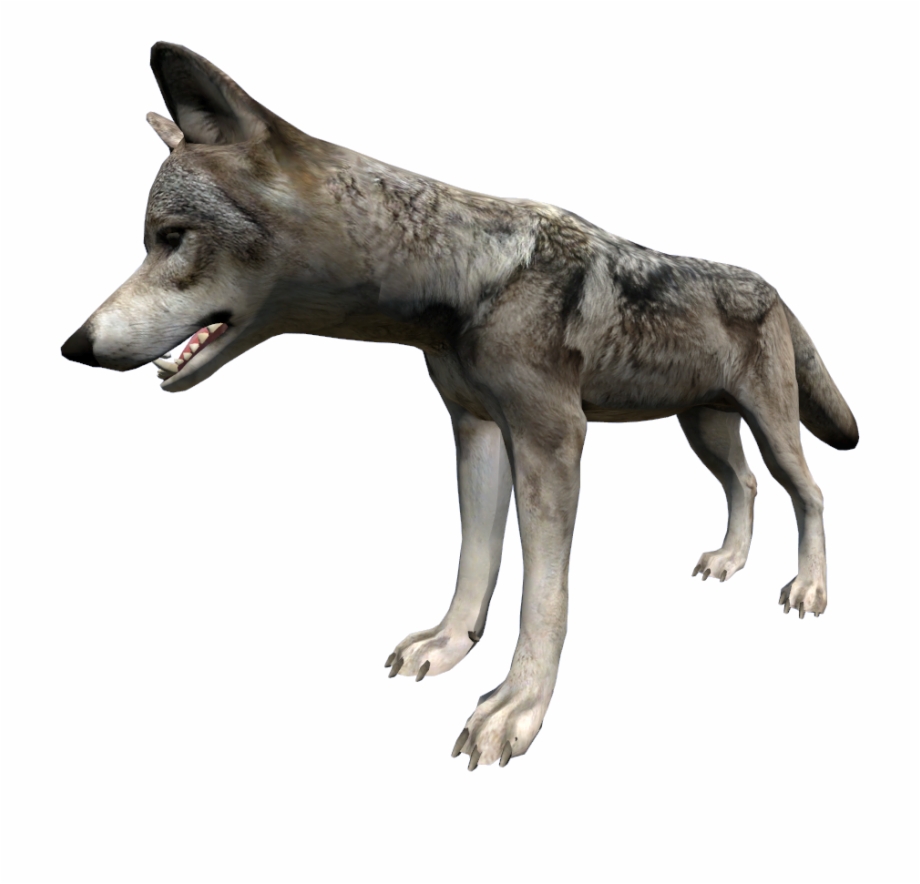 Wolf Dayz Wolves