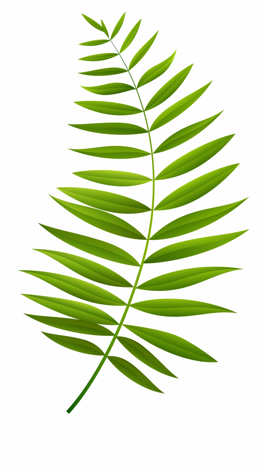 Palm Branch Png Png Download Palm Branch Cartoon