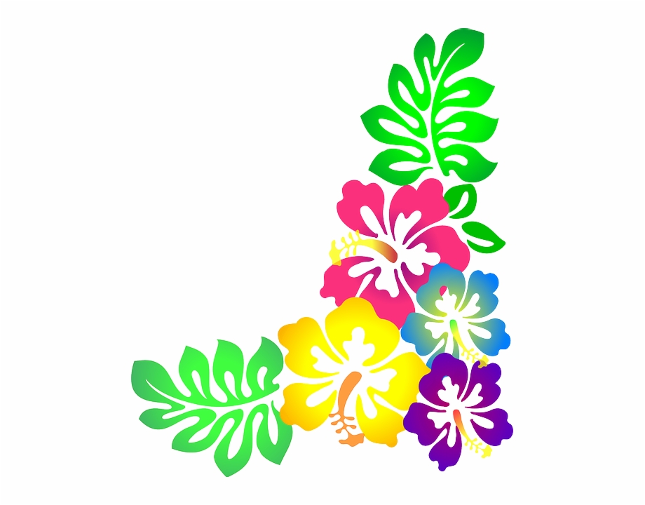  Hawaiian Flower Flower Pictures Of Design