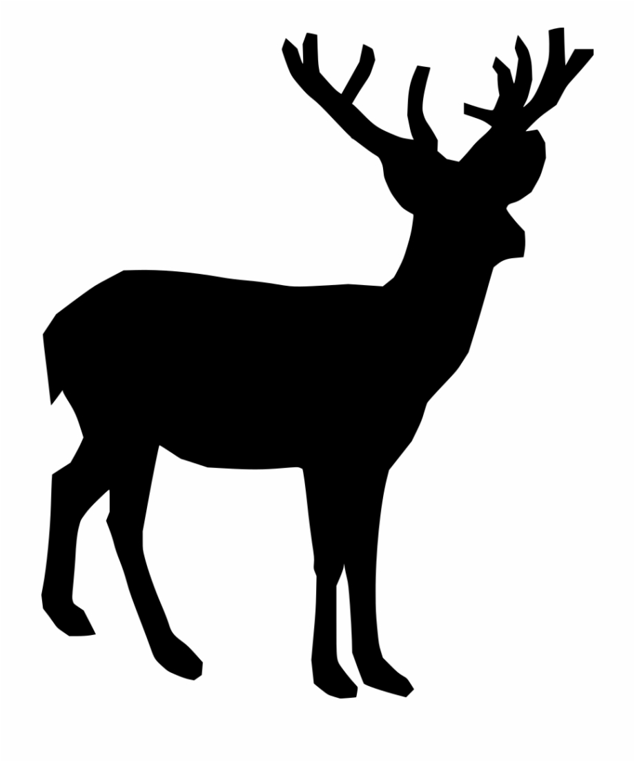 Download Png Deer Clipart Black And White