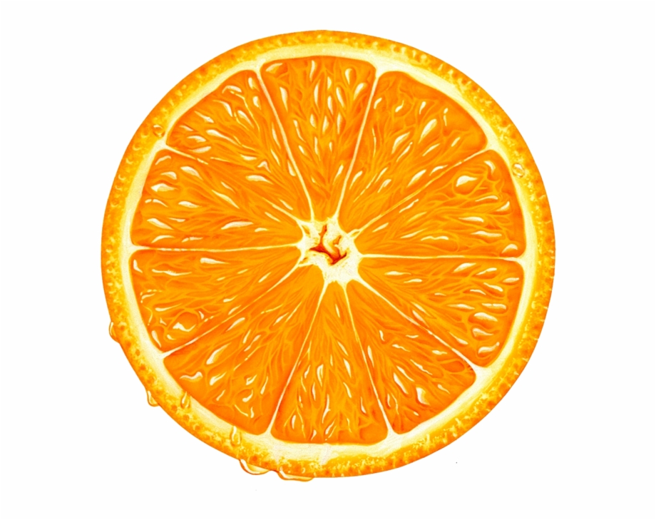 Orange Slice Png Clipart Orange Slice Vector Png